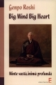 Big Mind Big Heart